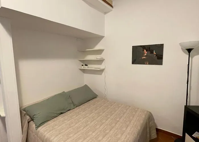 Denise A Poggio Ameno